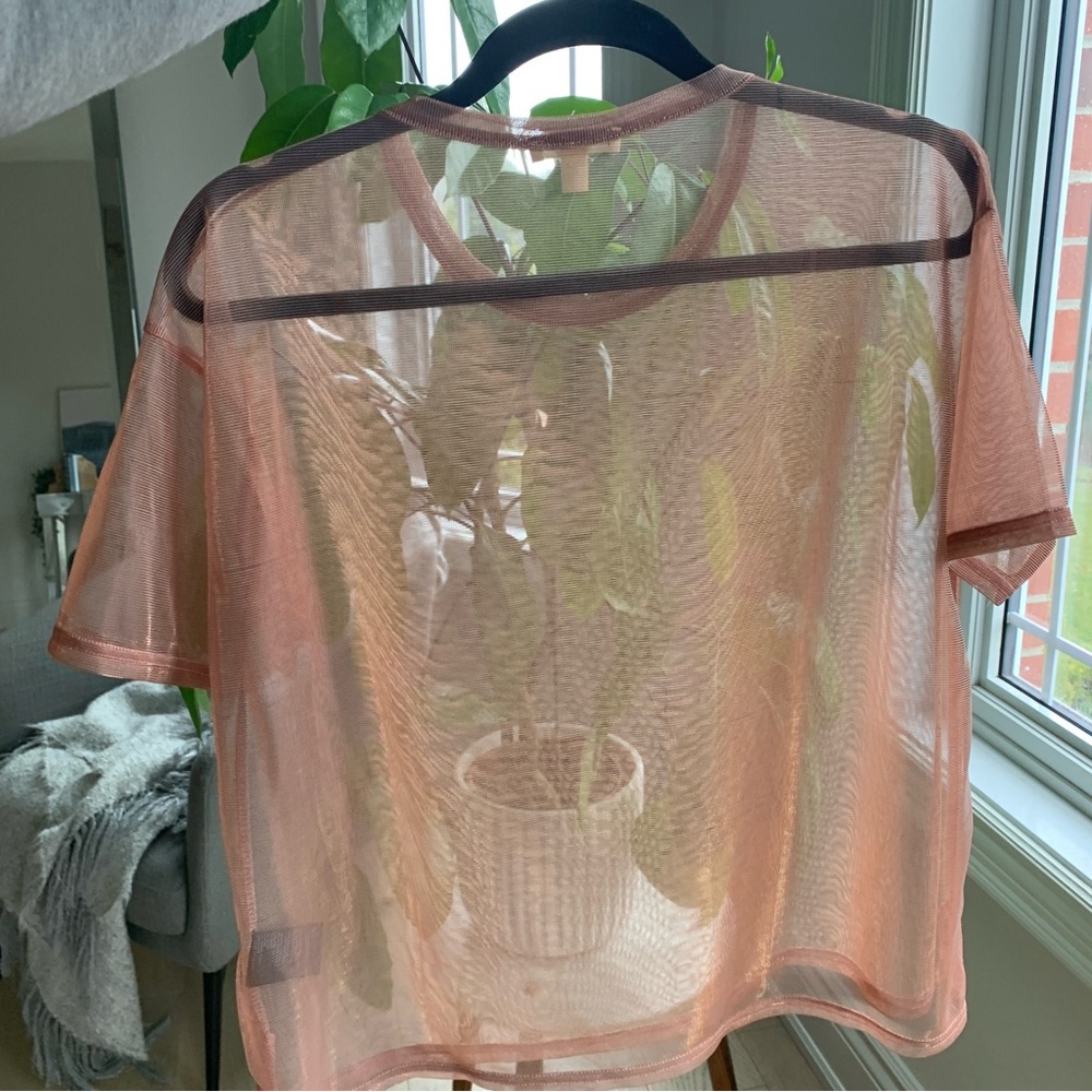 Sheer Metallic Blush T-shirt *watch vid